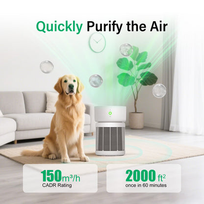 HEPA air purifier for up to 3500 square feet